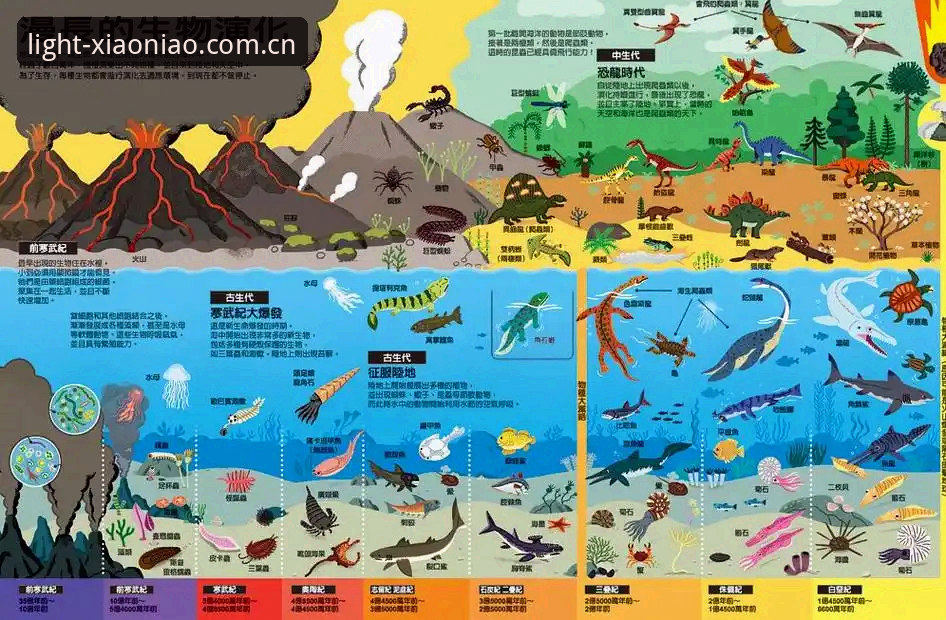 7个避坑关键点：新版小鸟综合体育中国官方注册哪个好，别再被带偏了